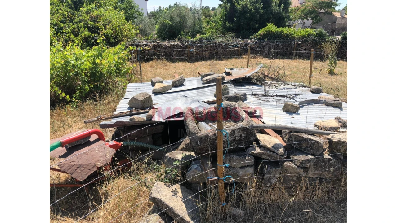 Terreno para Venda em Vilar Formoso Foto 5