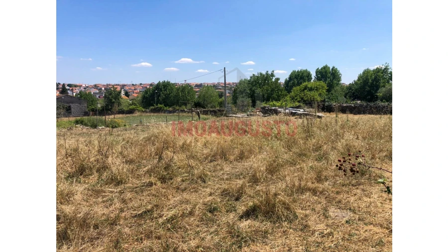 Terreno para Venda em Vilar Formoso Foto 2