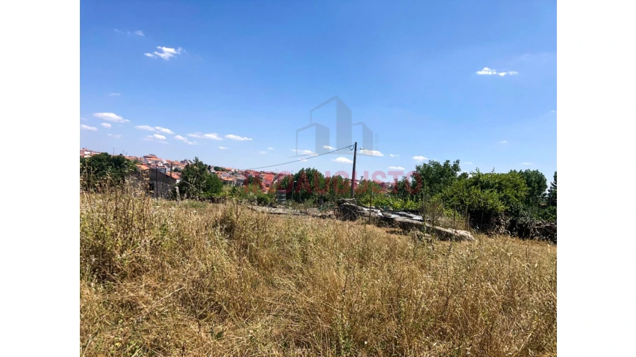 Terreno para Venda em Vilar Formoso Foto 4