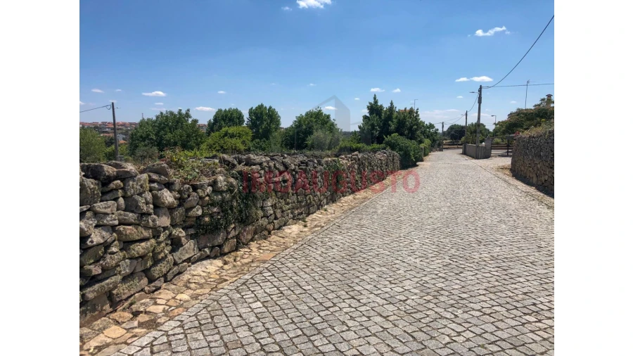 Terreno para Venda em Vilar Formoso Foto 6