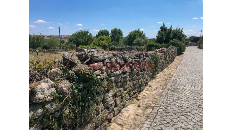 Terreno para Venda em Vilar Formoso Foto 7