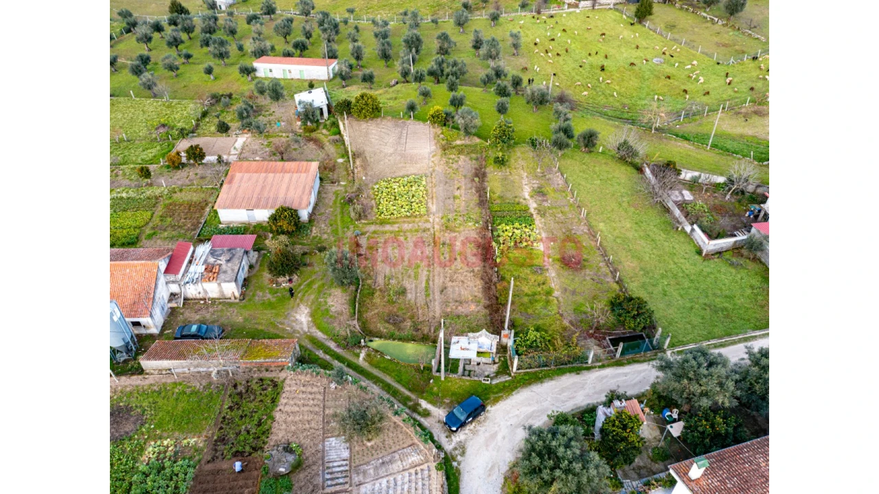 Terreno para Venda em Paranhos Foto 3