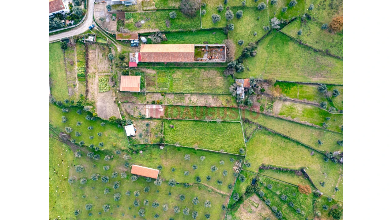 Terreno para Venda em Paranhos Foto 4