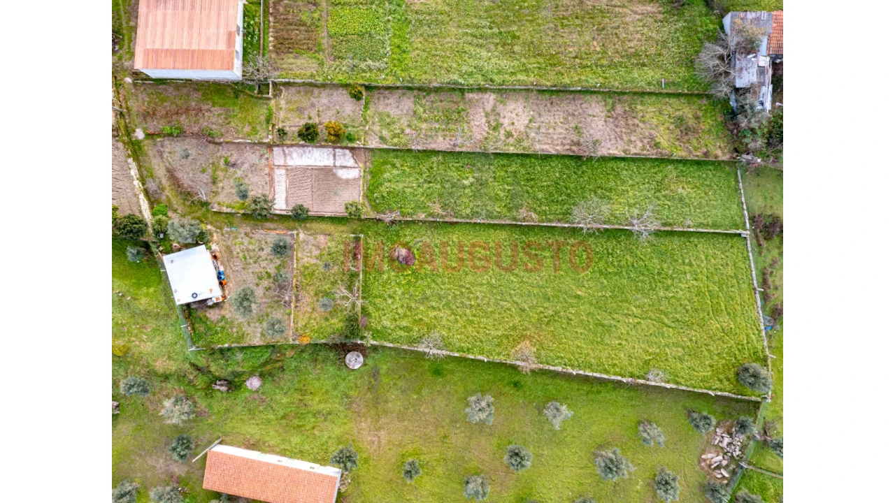Terreno para Venda em Paranhos Foto 5