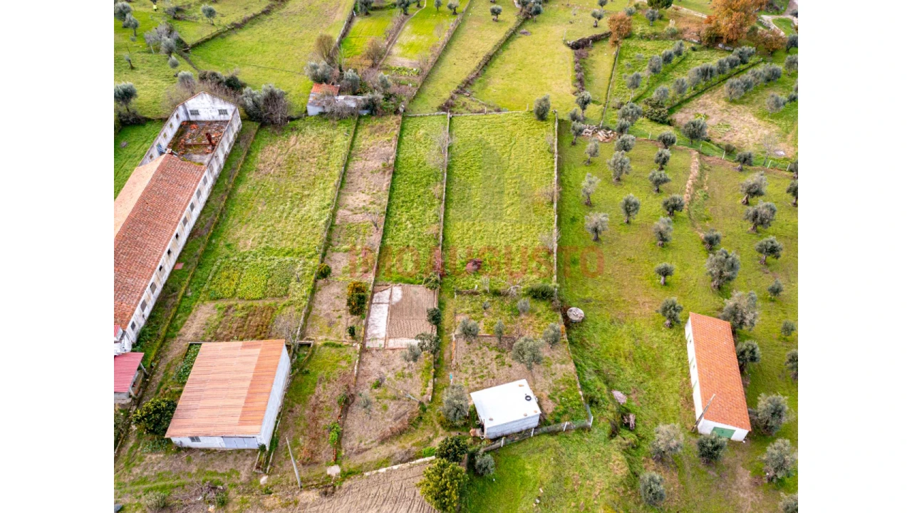 Terreno para Venda em Paranhos Foto 6
