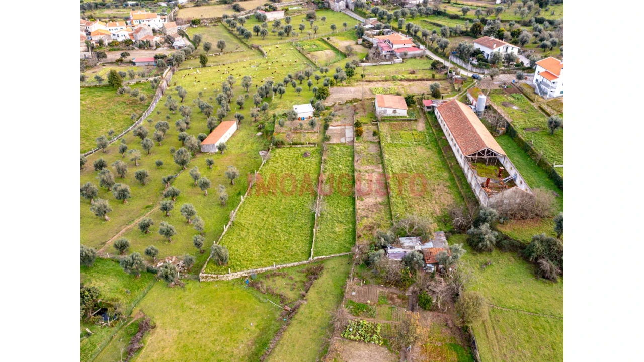 Terreno para Venda em Paranhos Foto 7