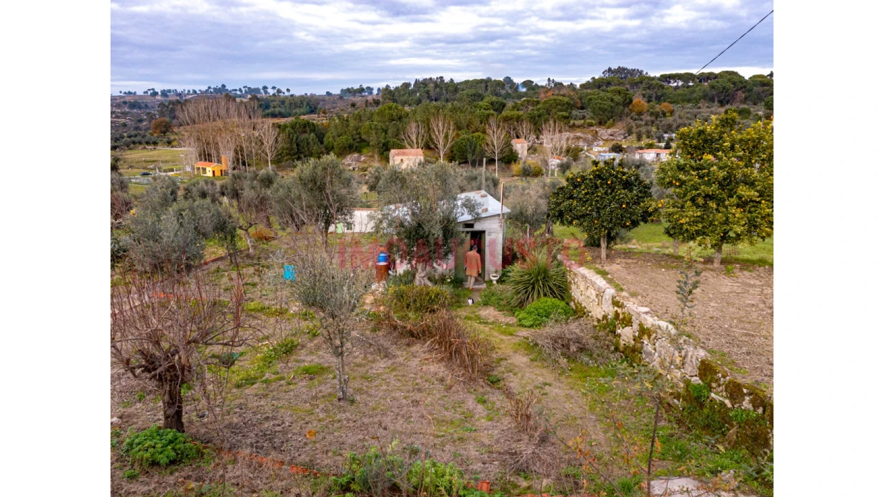 Terreno para Venda em Paranhos Foto 8