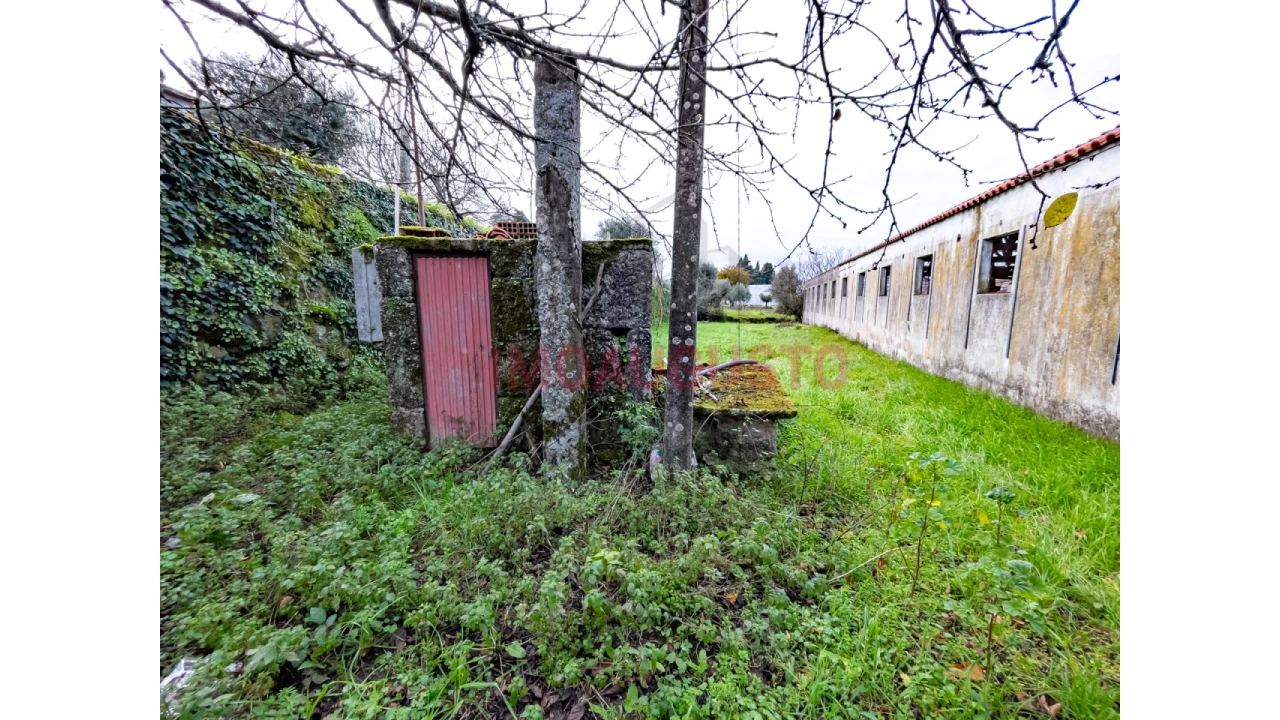 Terreno para Venda em Paranhos Foto 9