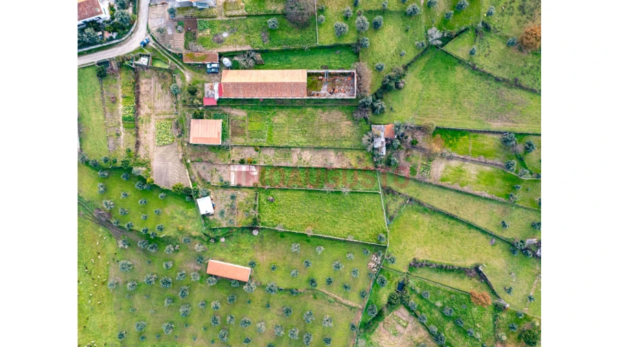 Terreno para Venda em Paranhos Foto 4