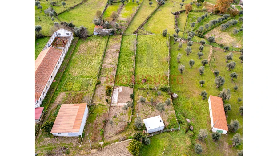 Terreno para Venda em Paranhos Foto 6