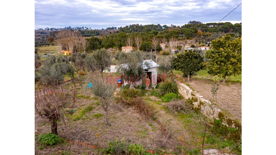 Terreno para Venda em Paranhos Foto 8