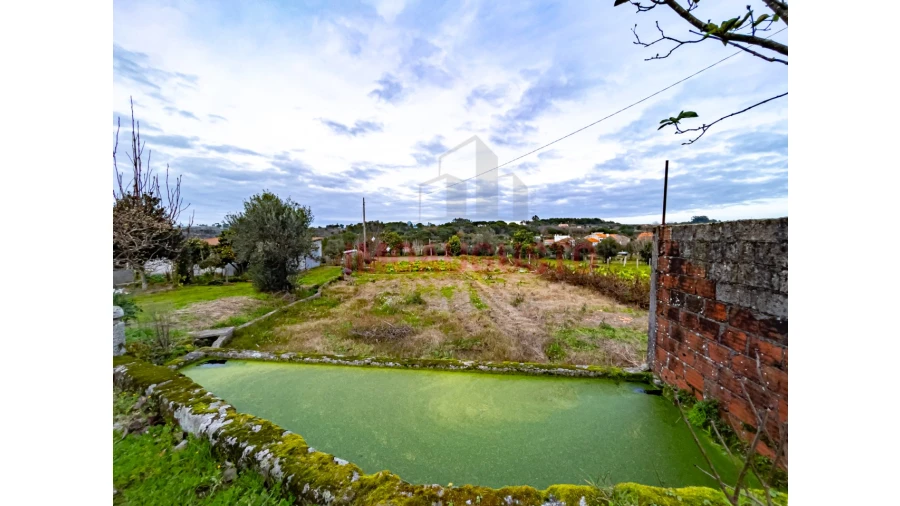 Terreno para Venda em Paranhos Foto 11
