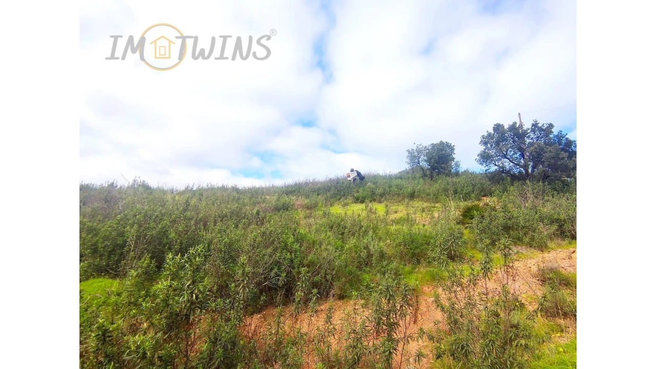 Terreno Misto para Venda em Silves Foto 19