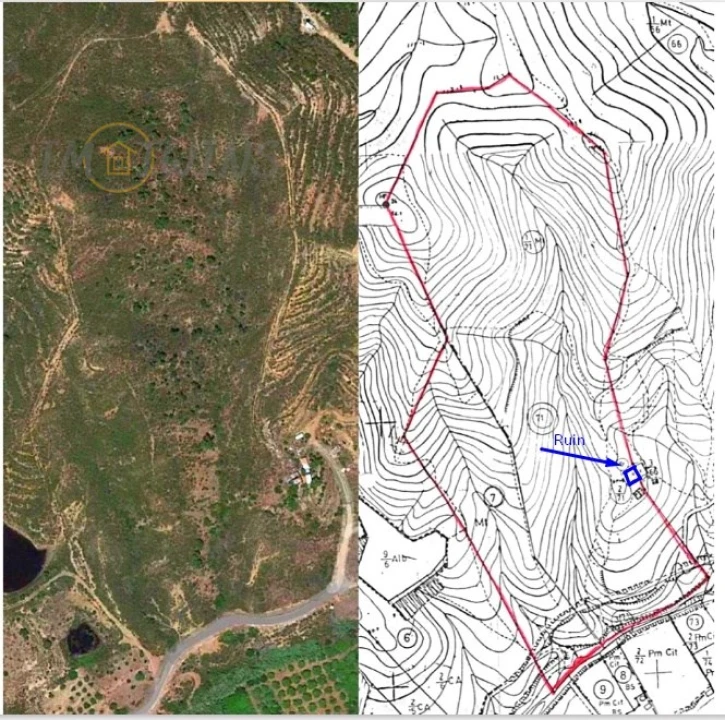 Terreno Misto para Venda em Silves Foto 24