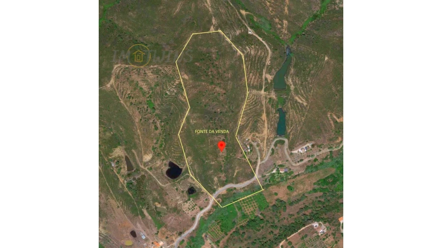 Terreno Misto para Venda em Silves Foto 23