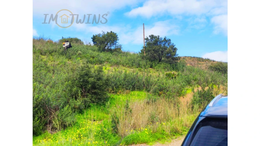 Terreno Misto para Venda em Silves Foto 10