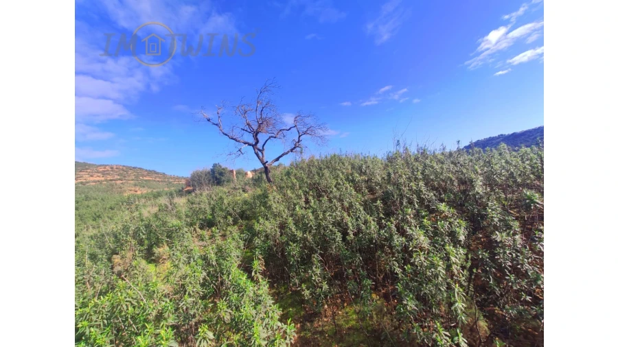 Terreno Misto para Venda em Silves Foto 15