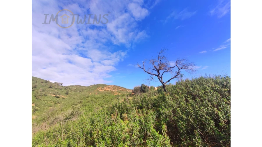 Terreno Misto para Venda em Silves Foto 16