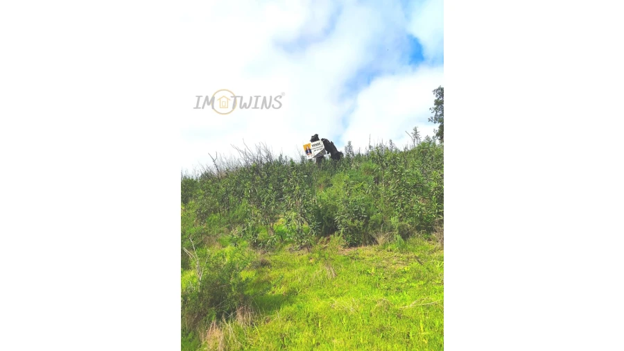 Terreno Misto para Venda em Silves Foto 20