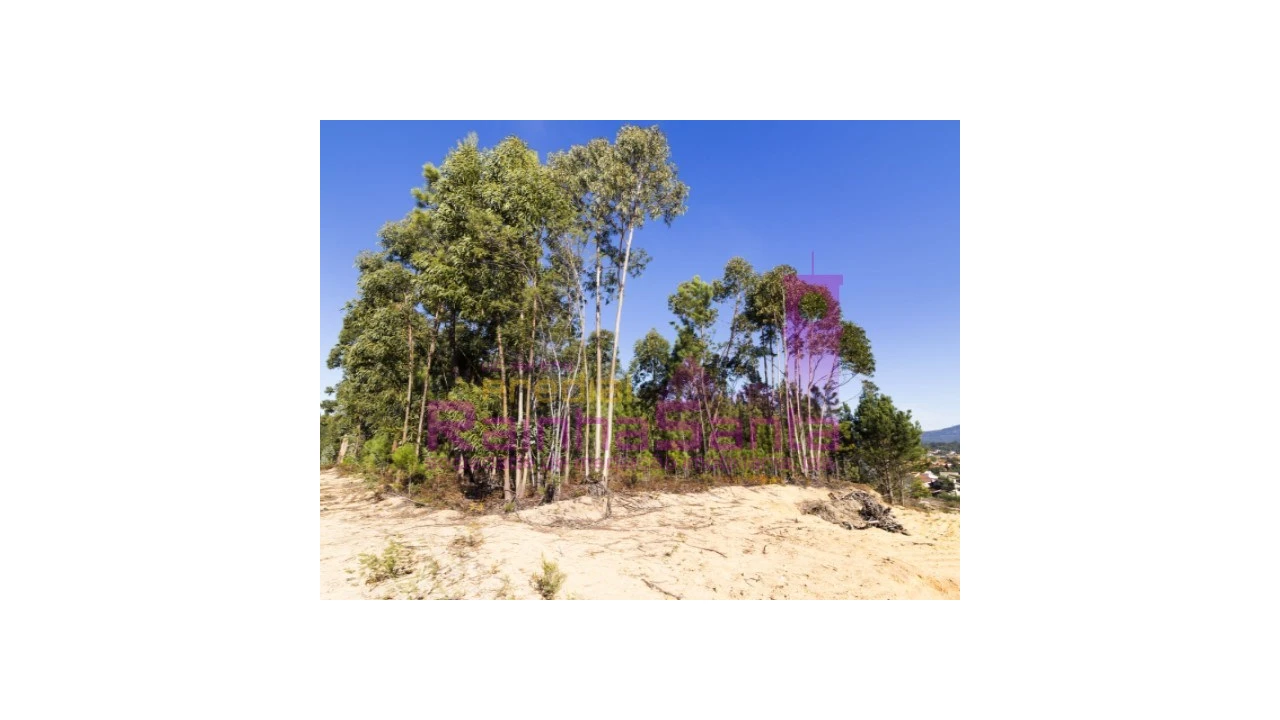 Terreno para Venda em Pampilhosa Foto 2