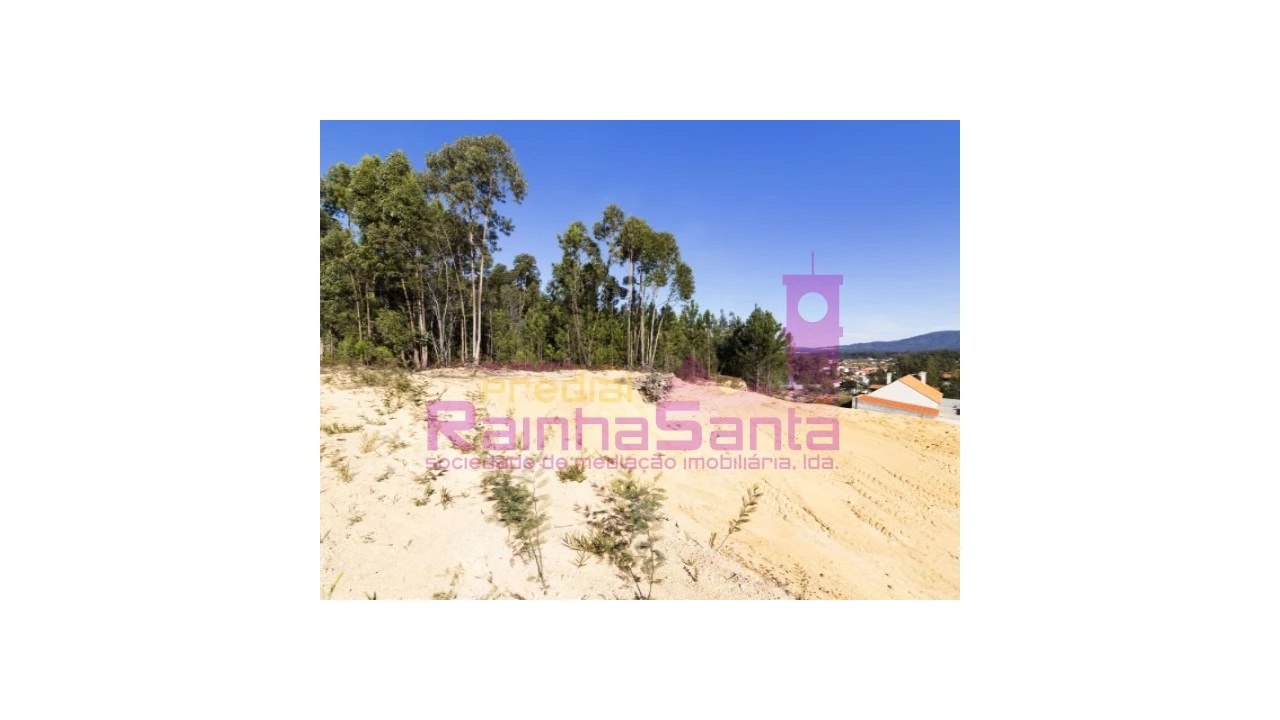 Terreno para Venda em Pampilhosa Foto 3