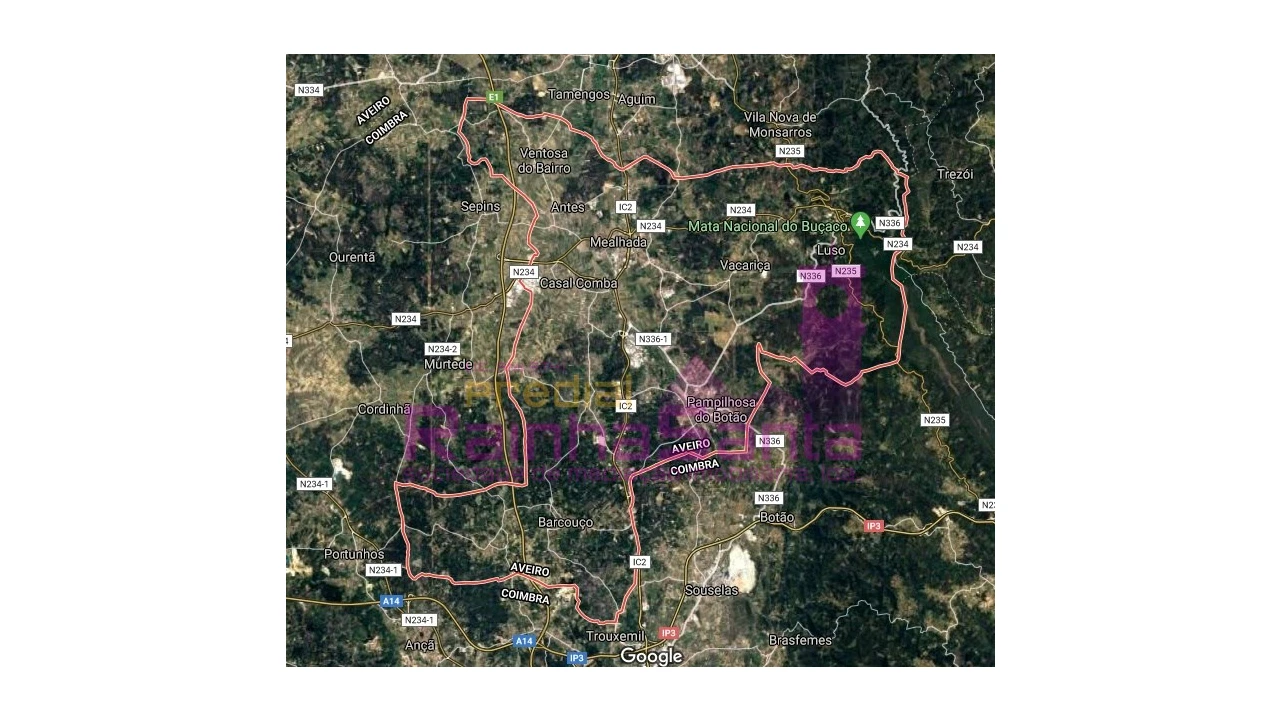 Terreno para Venda em Pampilhosa Foto 4