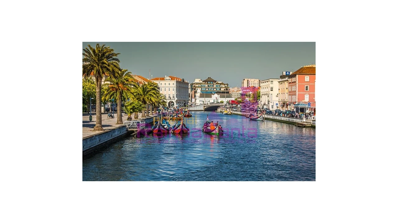 Terreno para Venda em Pampilhosa Foto 5