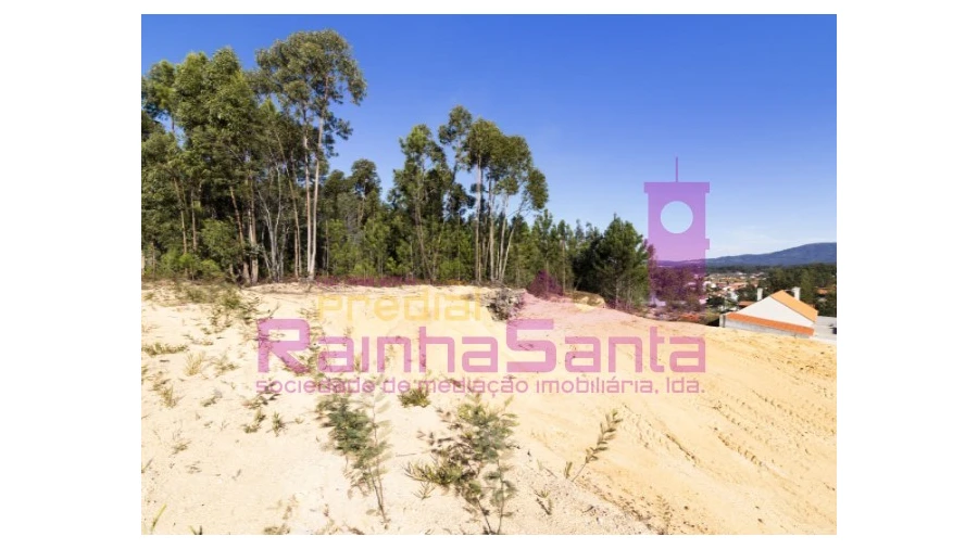 Terreno para Venda em Pampilhosa Foto 3