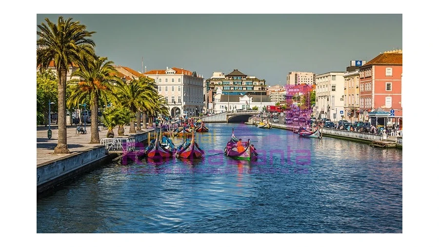 Terreno para Venda em Pampilhosa Foto 5