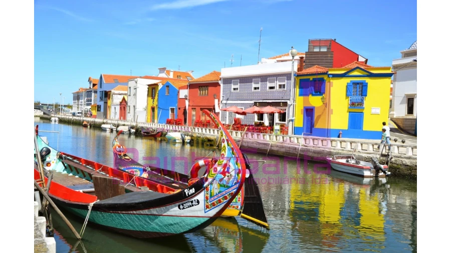Terreno para Venda em Pampilhosa Foto 6