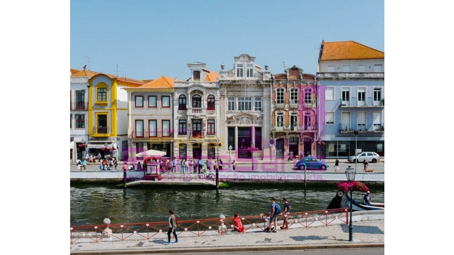 Terreno para Venda em Pampilhosa Foto 9