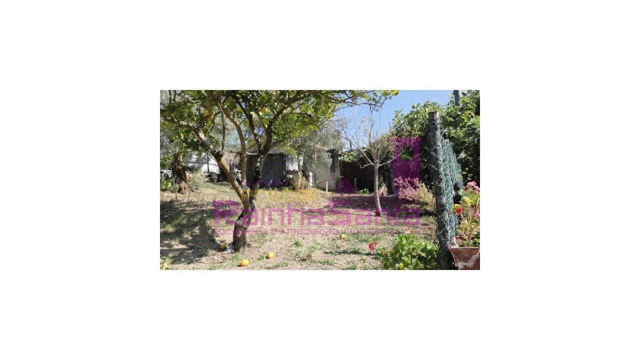 Terreno para Venda em Santa Clara e Castelo Viegas Foto 4