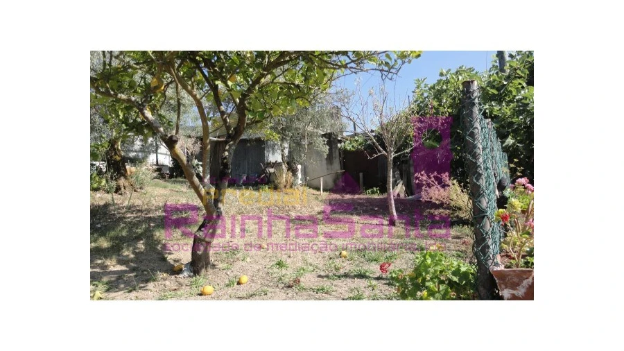 Terreno para Venda em Santa Clara e Castelo Viegas Foto 4