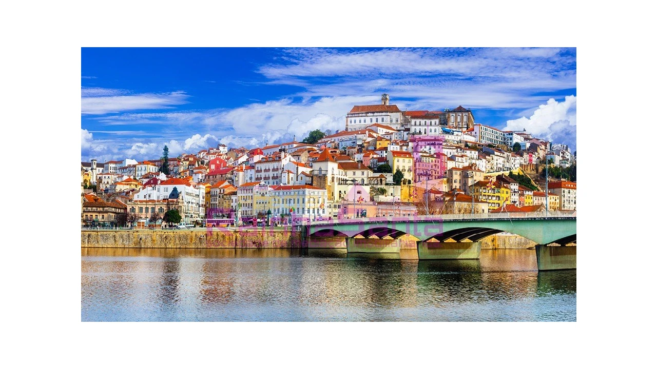 Terreno para Venda em Condeixa-A-Velha e Condeixa-A-Nova Foto 7