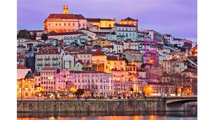 Terreno para Venda em Condeixa-A-Velha e Condeixa-A-Nova Foto 6