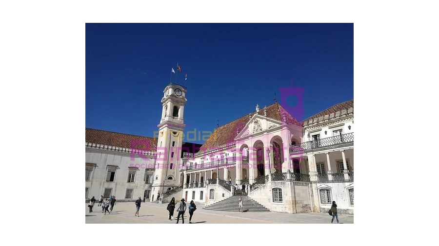 Terreno para Venda em Condeixa-A-Velha e Condeixa-A-Nova Foto 9