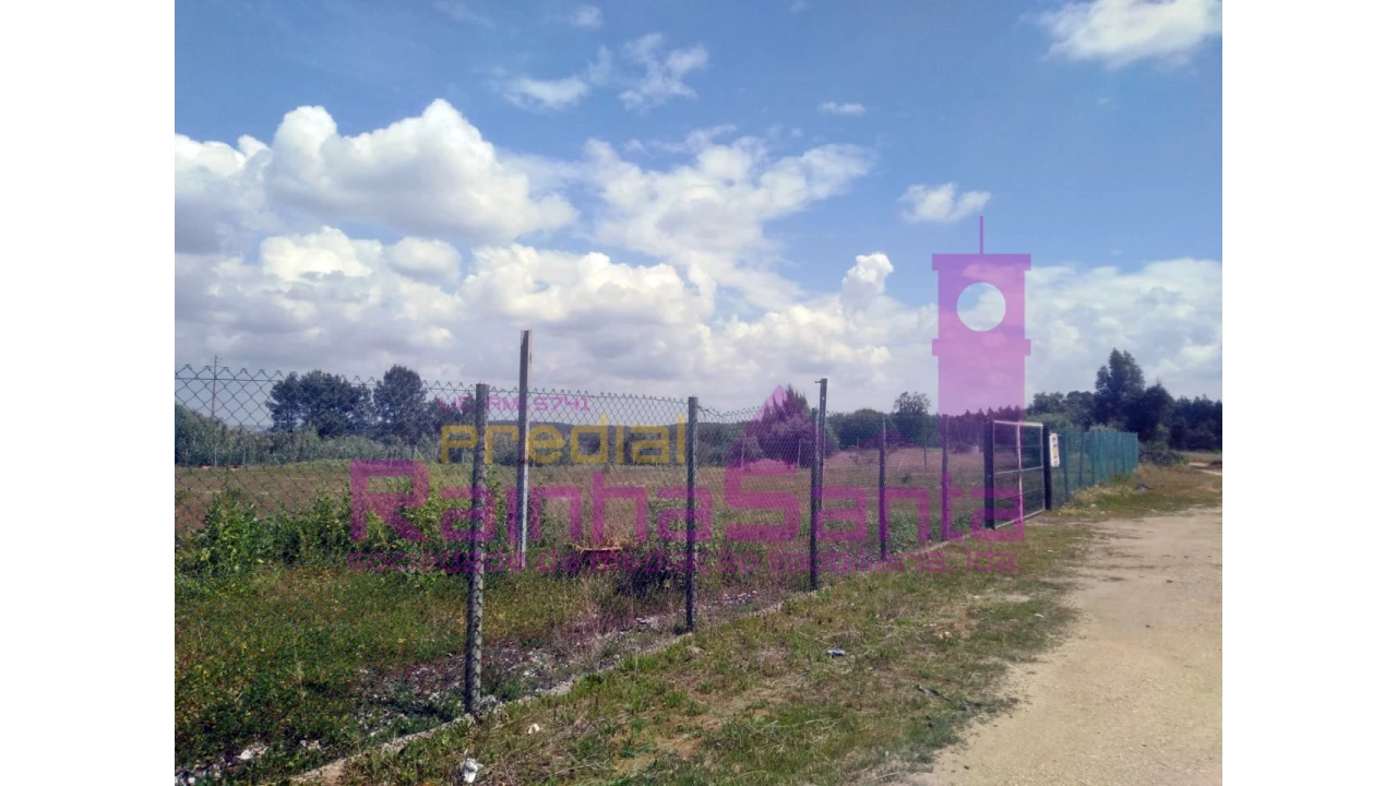 Terreno Agricola ou Rústico para Venda em Alcoentre Foto 1