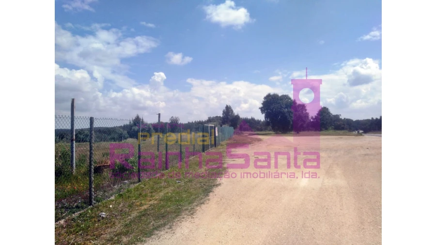 Terreno Agricola ou Rústico para Venda em Alcoentre Foto 2