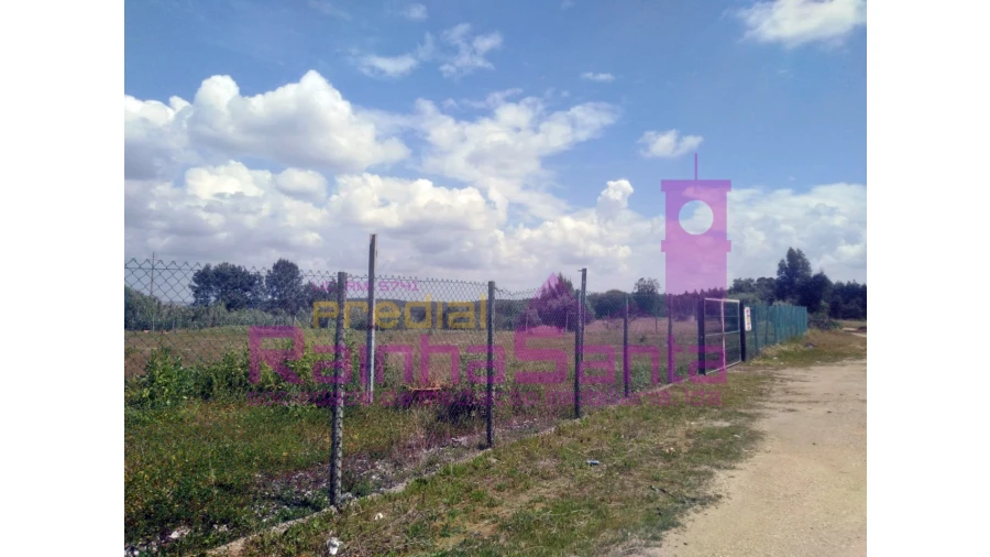 Terreno Agricola ou Rústico para Venda em Alcoentre