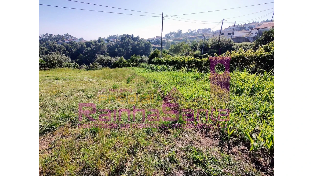 Quinta T4 para Venda em Arrifana Foto 9