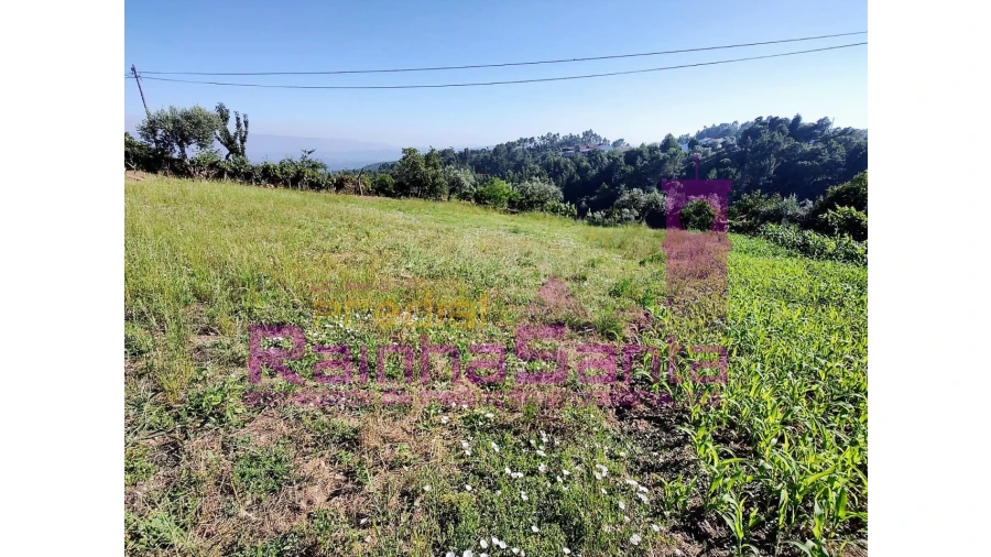 Quinta T4 para Venda em Arrifana Foto 11