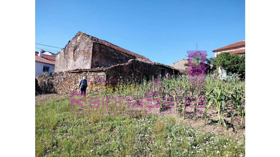 Quinta T4 para Venda em Arrifana Foto 14