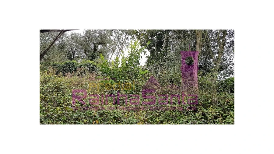 Moradia T3 para Venda em Poiares (Santo Andre) Foto 17