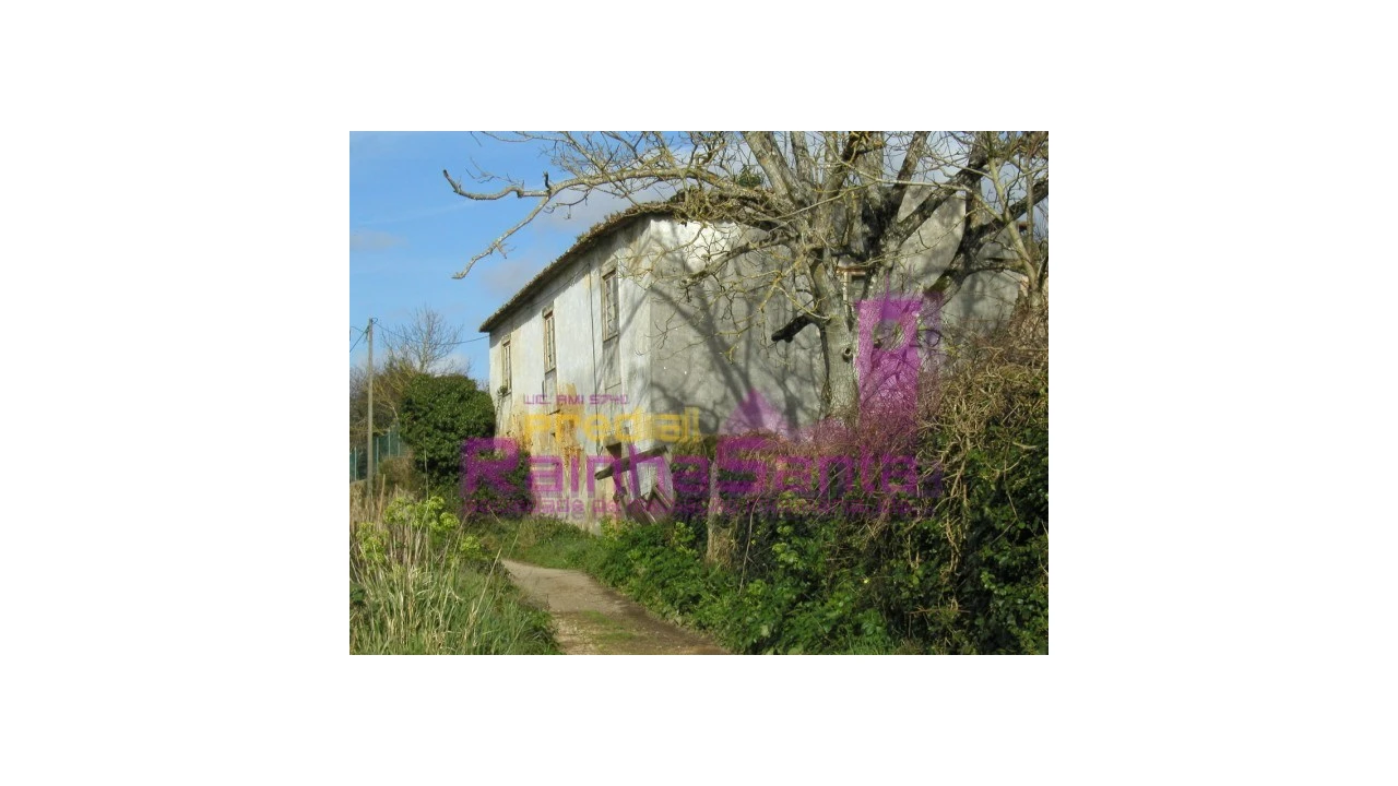 Quinta para Venda em Cernache Foto 2