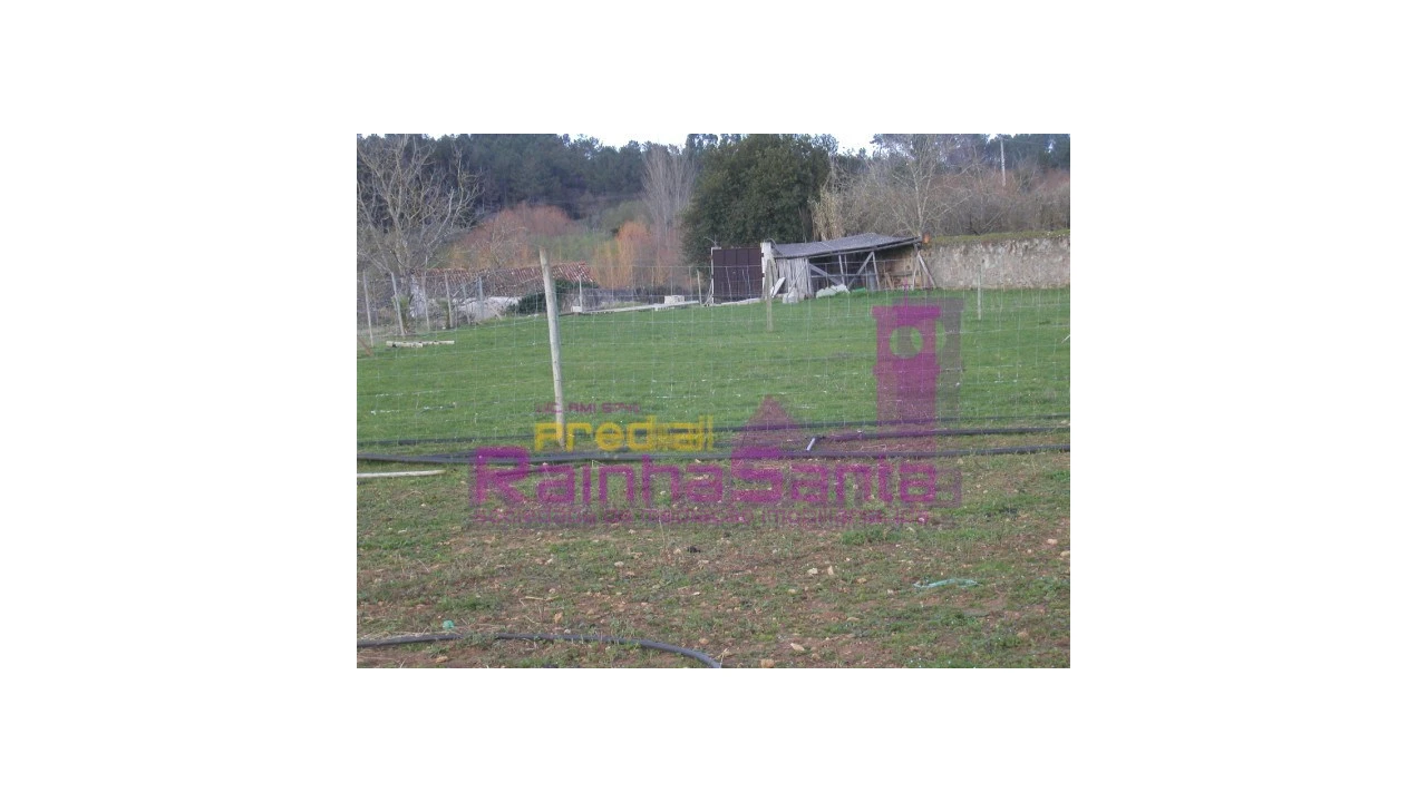 Quinta para Venda em Cernache Foto 3