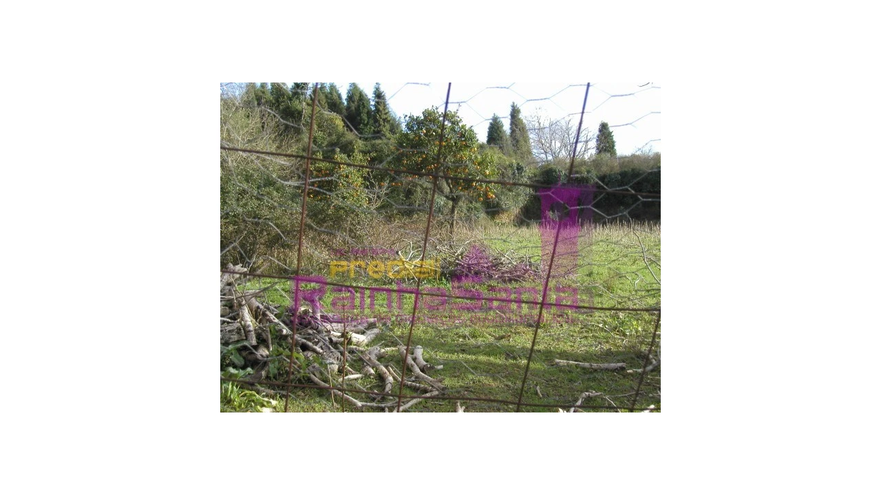 Quinta para Venda em Cernache Foto 4