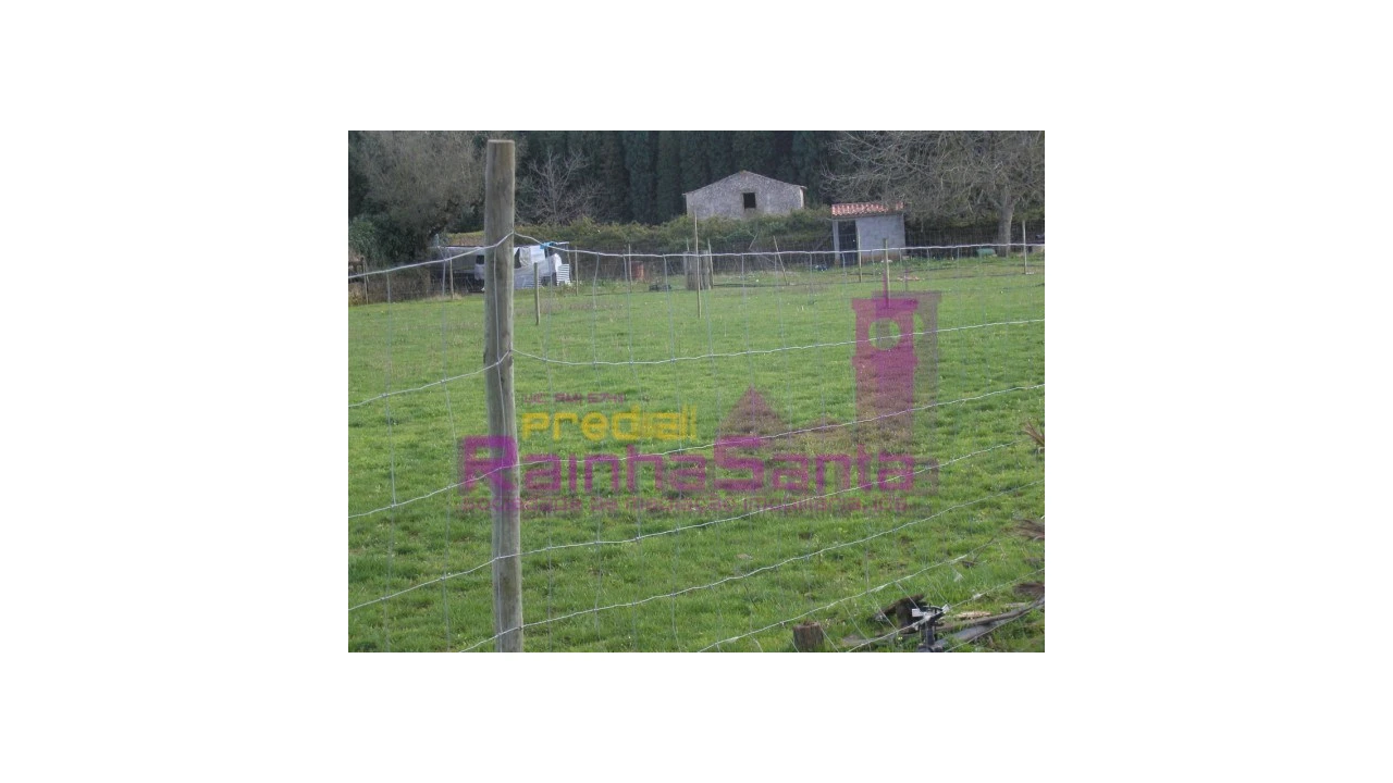 Quinta para Venda em Cernache Foto 6