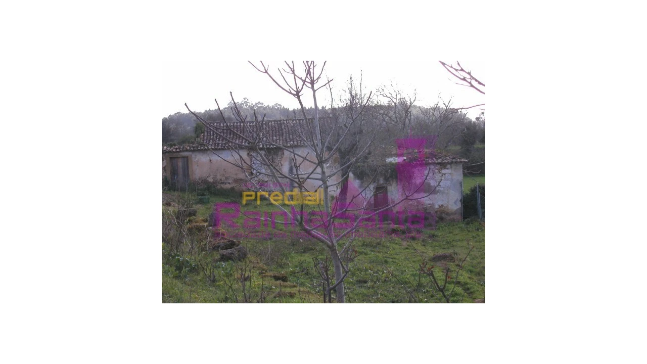 Quinta para Venda em Cernache Foto 7