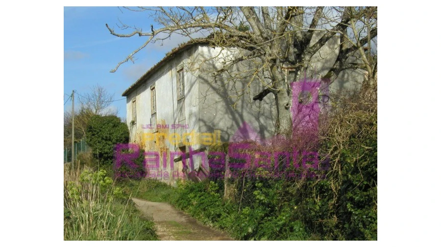 Quinta para Venda em Cernache Foto 2