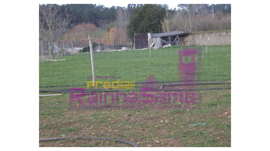 Quinta para Venda em Cernache Foto 3